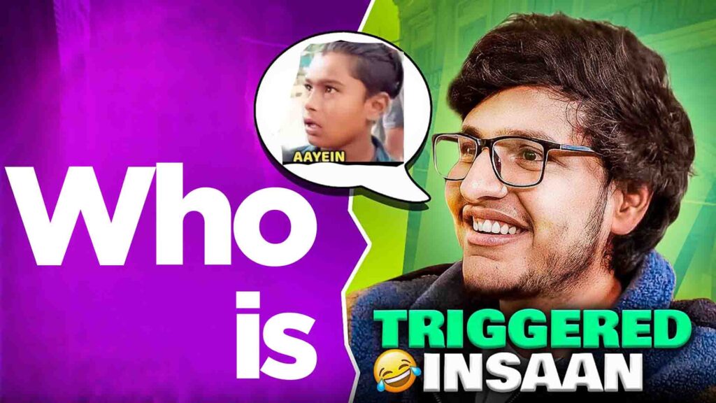 Who is Triggered Insaan